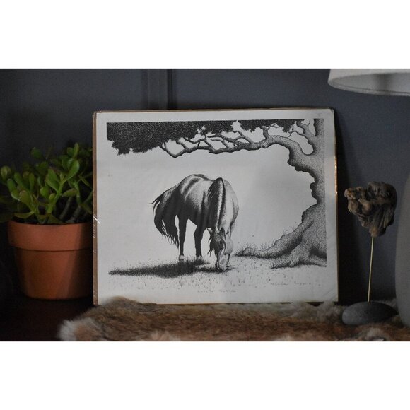 Michael Riggs Other - Vintage Michael Riggs Corolla Narive black + white Horse Print 14x11"